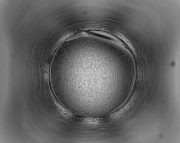 X0000100951049200807011304