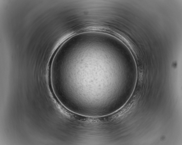 X0000100951050200807011304
