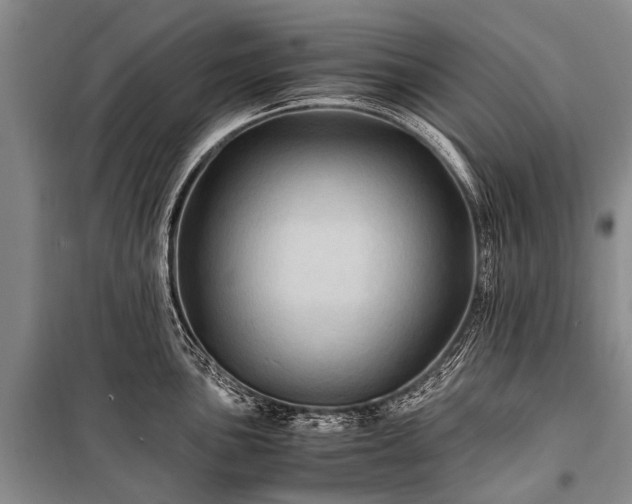 X0000100951051200807011304