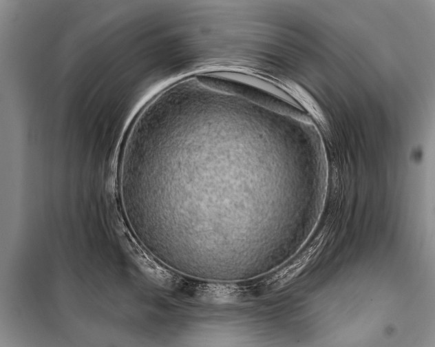 X0000100951052200807011304