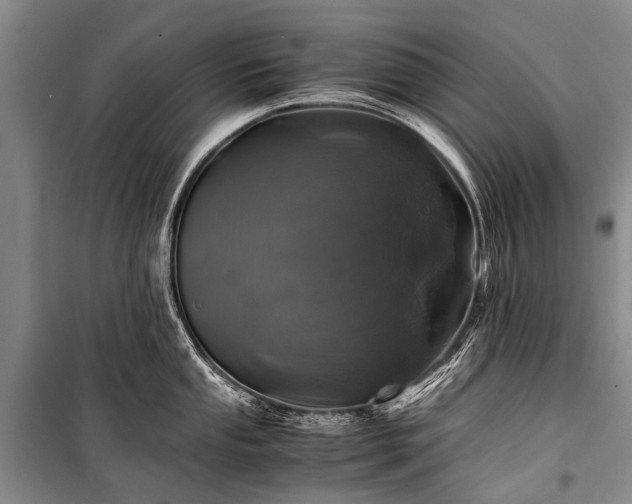 X0000100951053200807011304