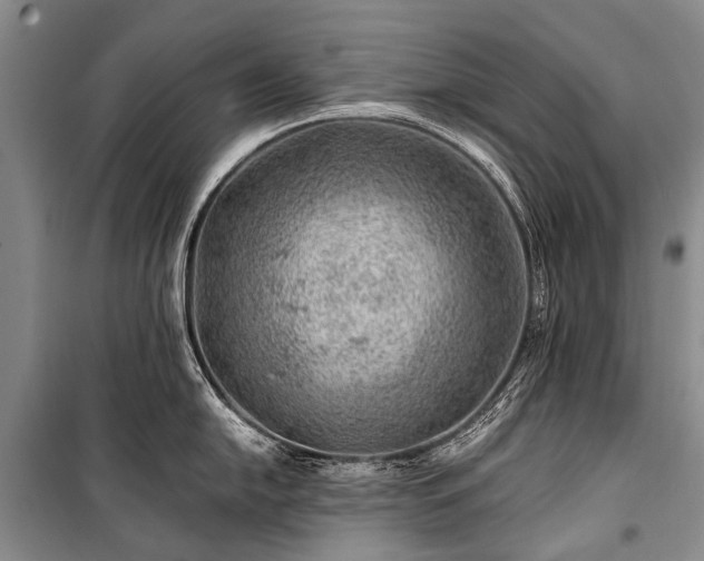 X0000100951054200807011304