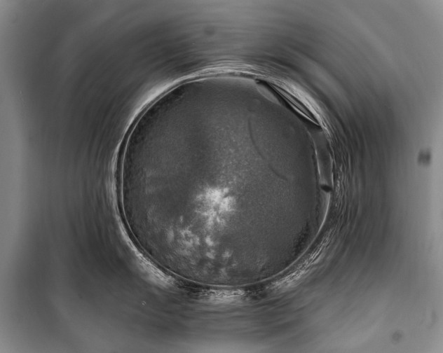 X0000100951055200807011304