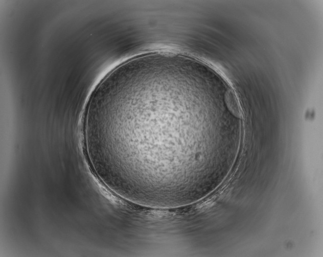 X0000100951056200807011304