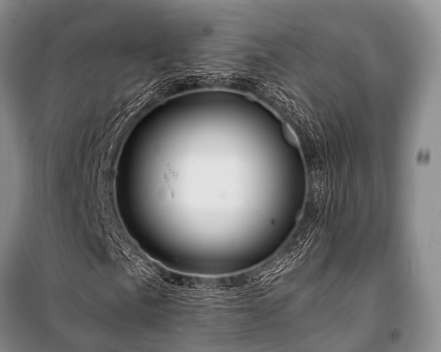 X0000100951057200807011303