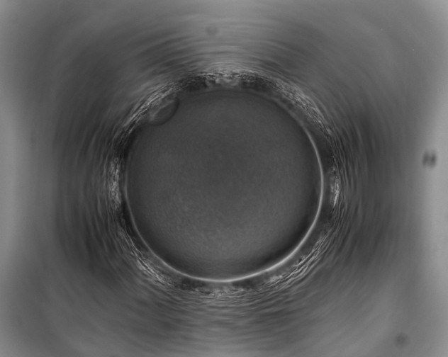 X0000100951060200807011303