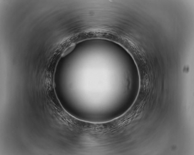 X0000100951062200807011303