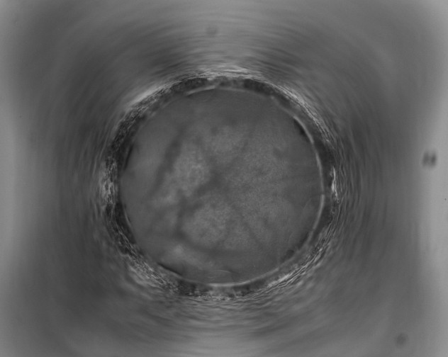 X0000100951063200807011303