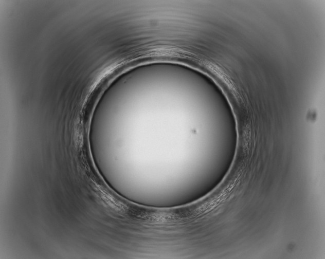 X0000100951067200807011303