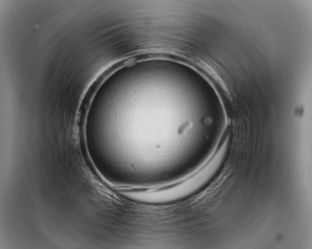 X0000100951068200807011303