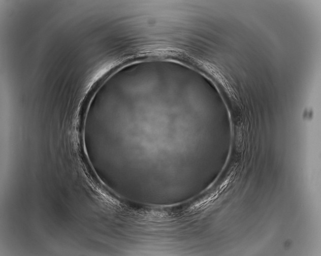 X0000100951071200807011303