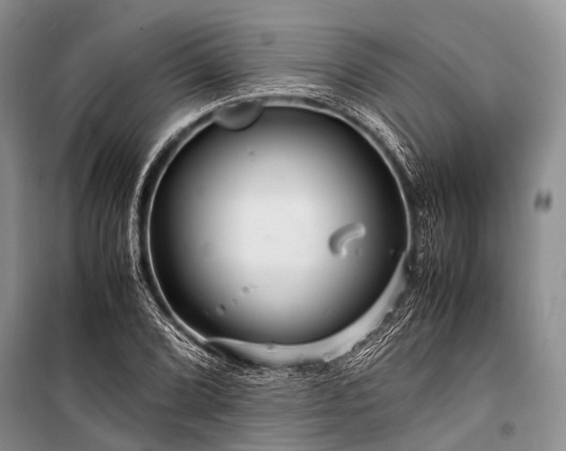 X0000100951072200807011303
