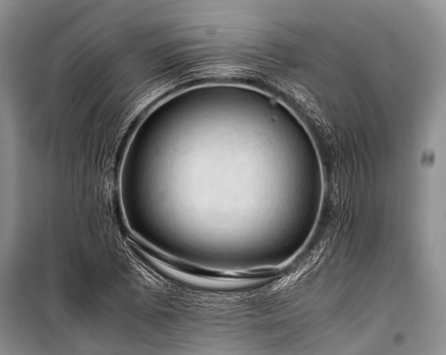 X0000100951073200807011303
