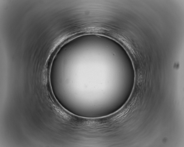 X0000100951075200807011303