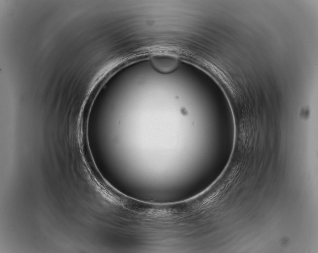 X0000100951082200807011303