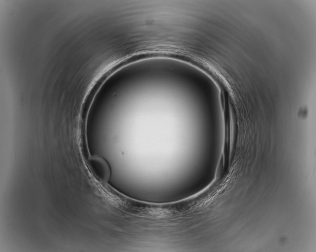 X0000100951085200807011303