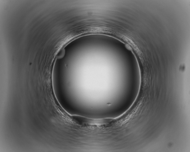 X0000100951089200807011303