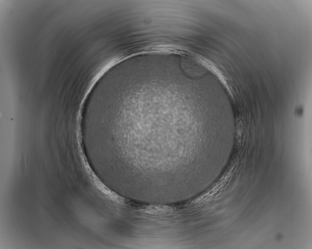 X0000100951091200807011303