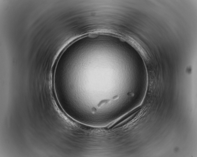 X0000100951092200807011303