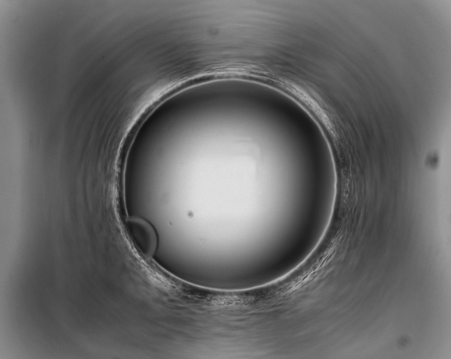 X0000100951093200807011303