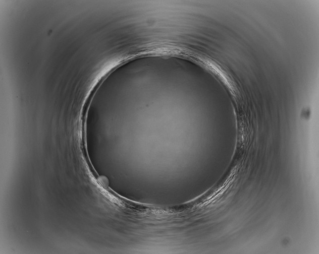 X0000100951095200807011303