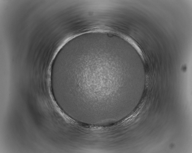 X0000100951099200807011303