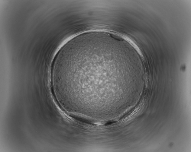 X0000100951101200807011303