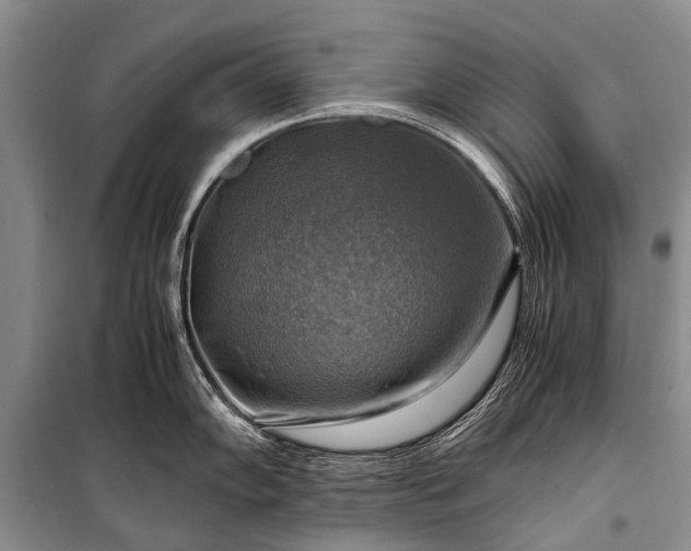 X0000100951102200807011303