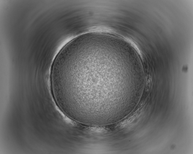 X0000100951103200807011303