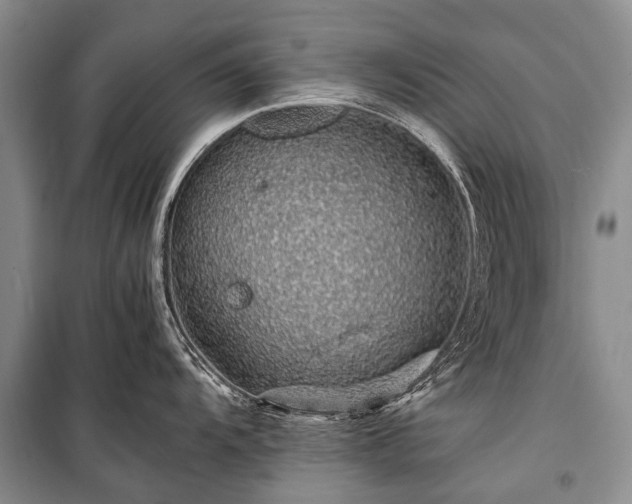 X0000100951104200807011303