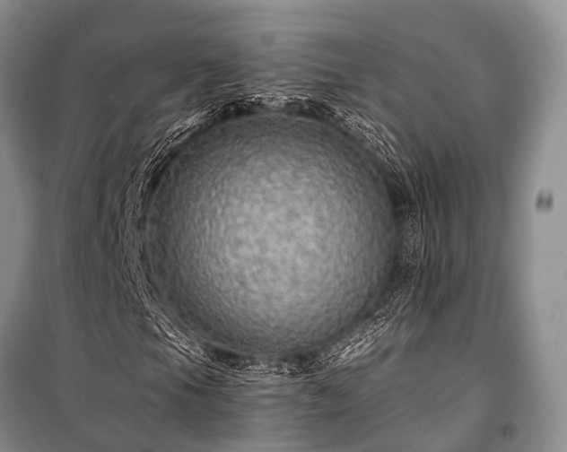X0000100951105200807011302
