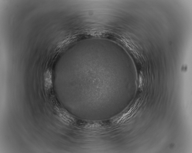 X0000100951106200807011302