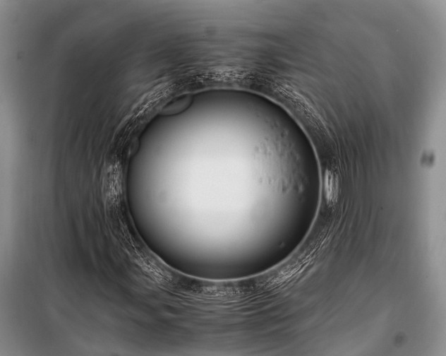 X0000100951107200807011302