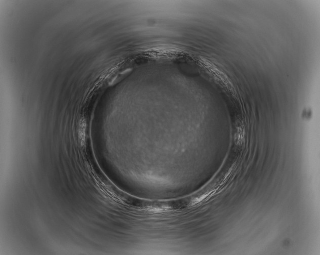 X0000100951108200807011302