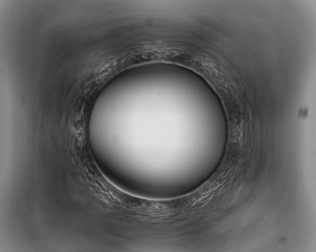 X0000100951109200807011302