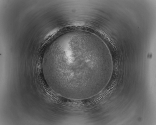 X0000100951110200807011302