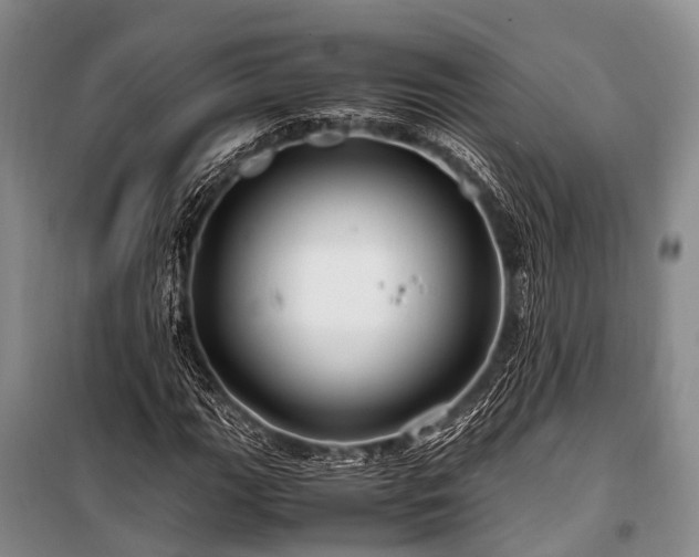 X0000100951111200807011302