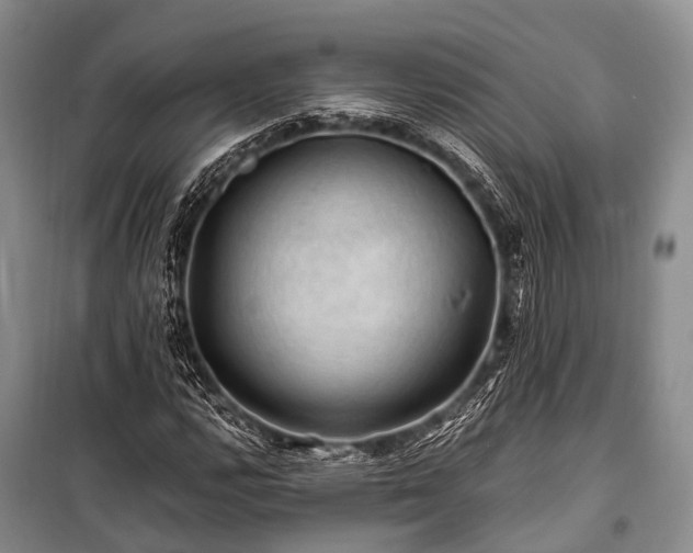 X0000100951112200807011302