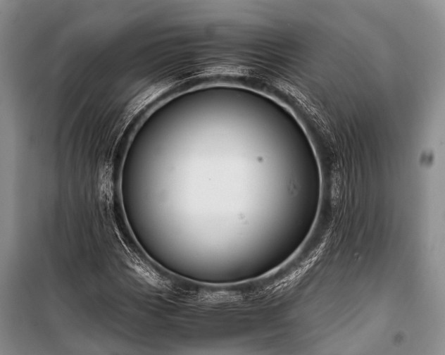 X0000100951113200807011302