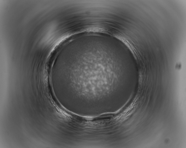 X0000100951115200807011302