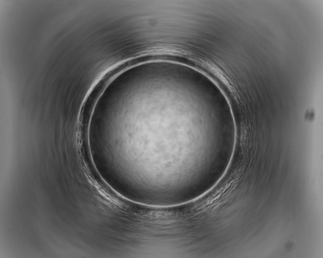X0000100951116200807011302