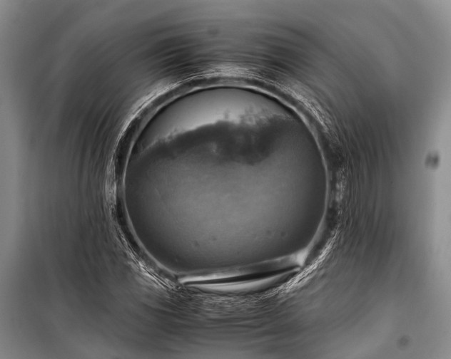 X0000100951117200807011302