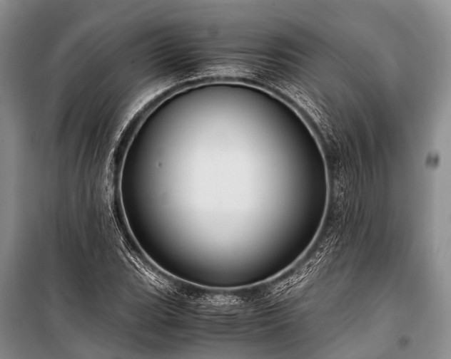 X0000100951119200807011302