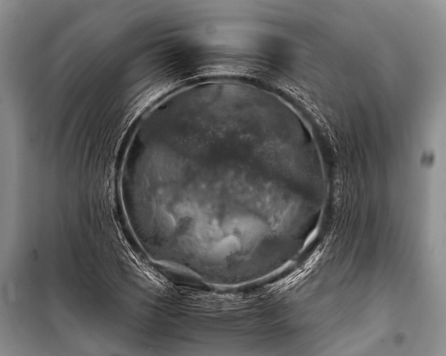 X0000100951121200807011302