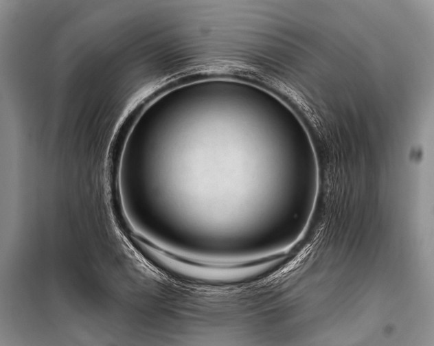 X0000100951122200807011302