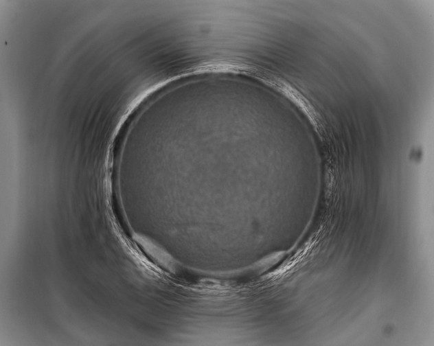 X0000100951124200807011302