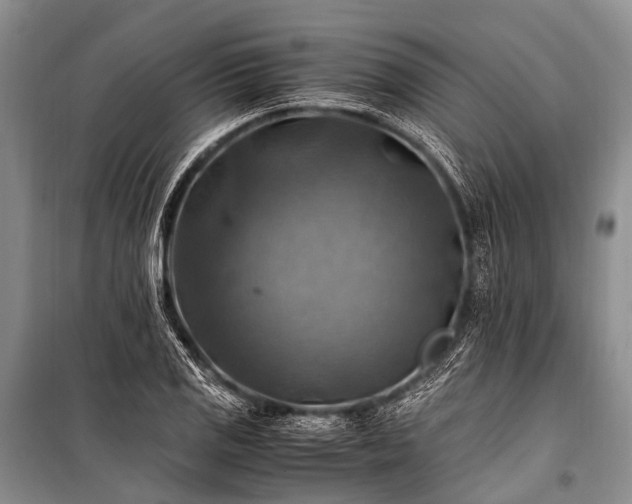X0000100951125200807011302
