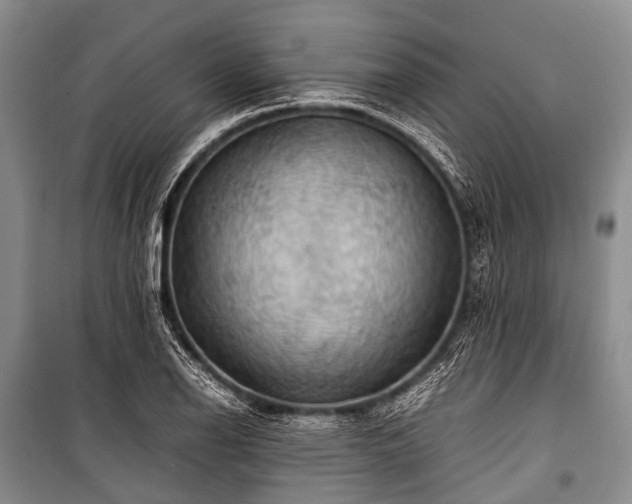 X0000100951126200807011302