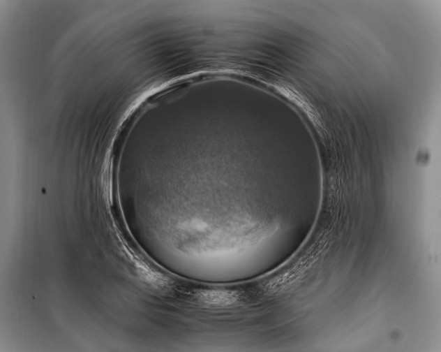 X0000100951127200807011302