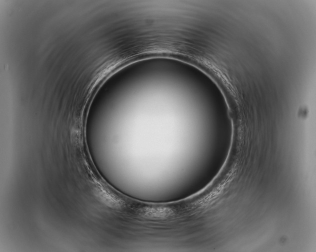 X0000100951129200807011302